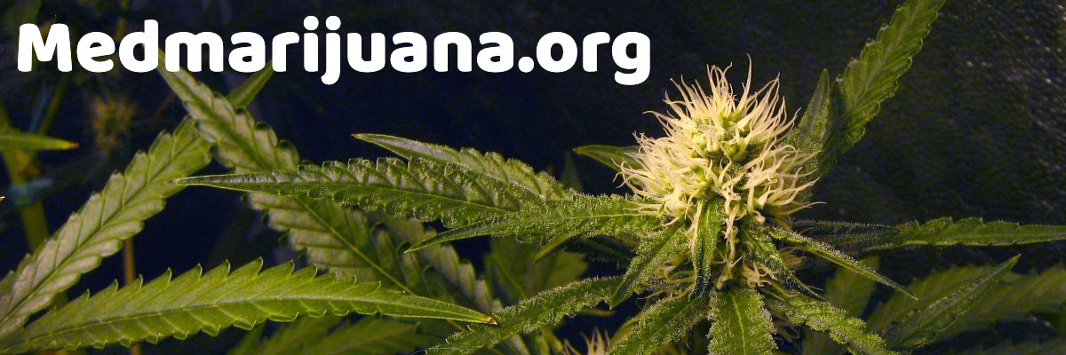 medmarijuana.org